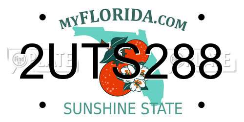 2UTS288 Florida License Plate