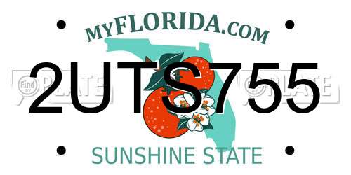 2UTS755 Florida License Plate