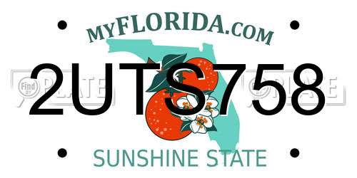 2UTS758 Florida License Plate