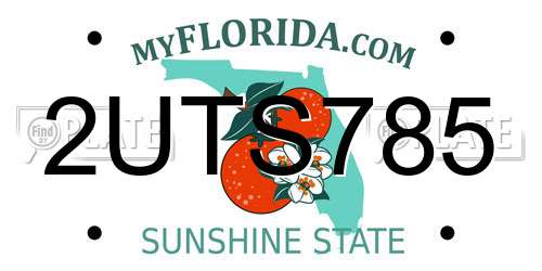 2UTS785 Florida License Plate