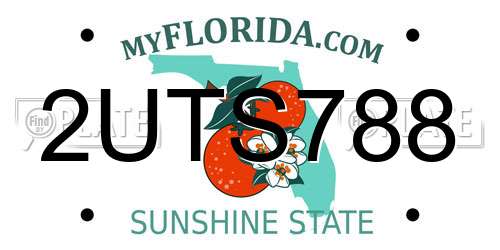 2UTS788 Florida License Plate