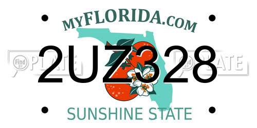 2UZ328 Florida License Plate