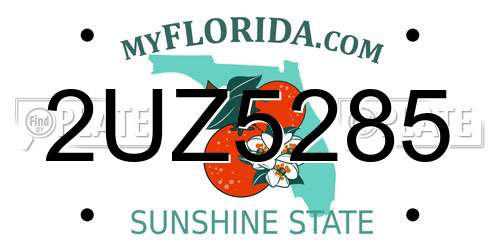2UZ5285 Florida License Plate