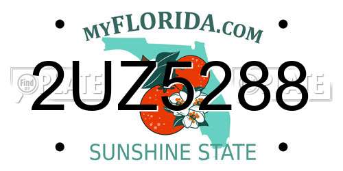 2UZ5288 Florida License Plate
