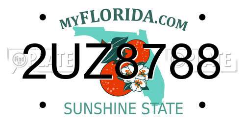 2UZ8788 Florida License Plate