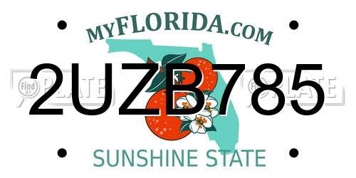 2UZB785 Florida License Plate