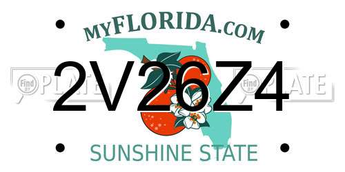 2V26Z4 Florida License Plate