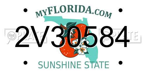 2V30584 Florida License Plate