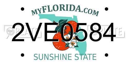 2VE0584 Florida License Plate