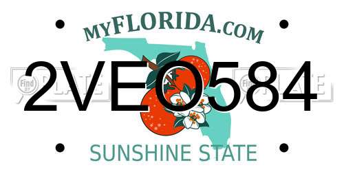 2VEO584 Florida License Plate