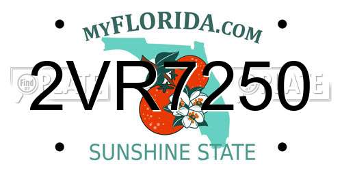 2VR7250 Florida License Plate