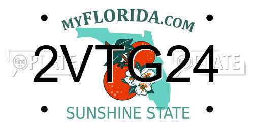 2VTG24 Florida License Plate