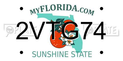 2VTG74 Florida License Plate