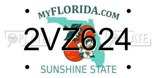 2VZ624 Florida License Plate