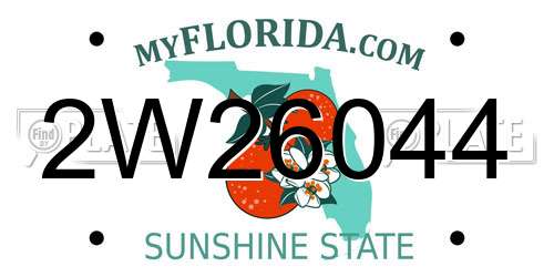 2W26044 Florida License Plate