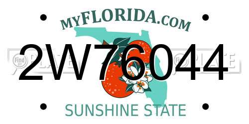 2W76044 Florida License Plate