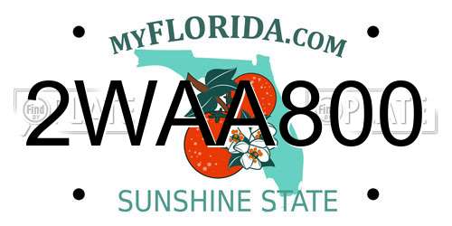 2WAA800 Florida License Plate