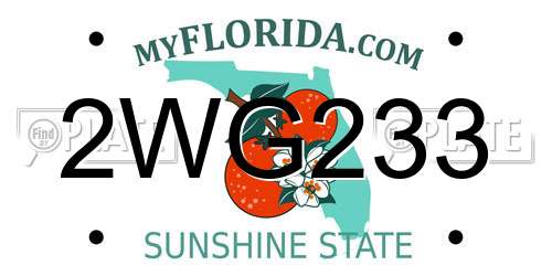 2WG233 Florida License Plate