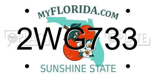 2WG733 Florida License Plate
