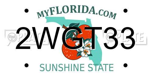 2WGT33 Florida License Plate