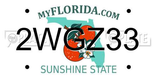 2WGZ33 Florida License Plate