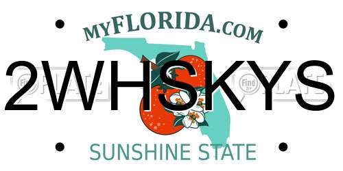 2WHSKYS Florida License Plate