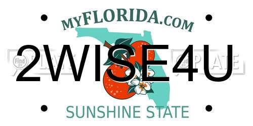 2WISE4U Florida License Plate