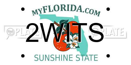 2WITS Florida License Plate
