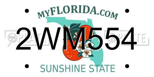 2WM554 Florida License Plate