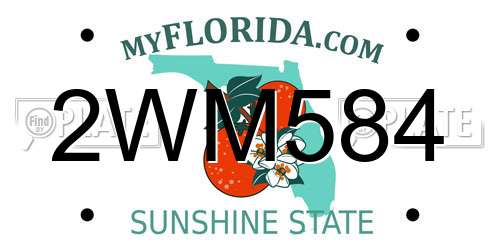 2WM584 Florida License Plate