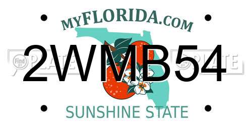 2WMB54 Florida License Plate
