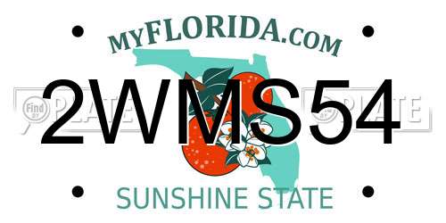2WMS54 Florida License Plate