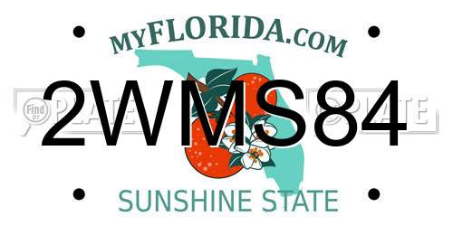 2WMS84 Florida License Plate