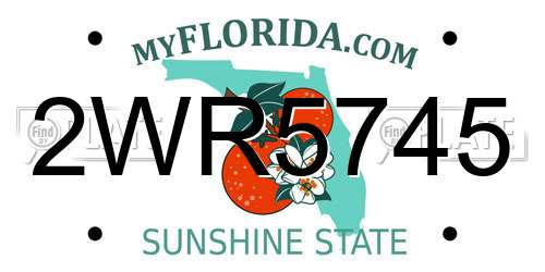 2WR5745 Florida License Plate