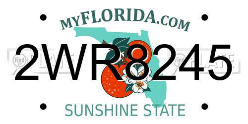 2WR8245 Florida License Plate