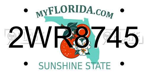 2WR8745 Florida License Plate