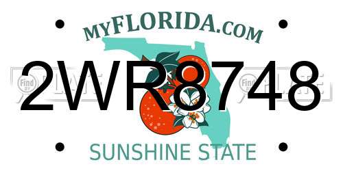 2WR8748 Florida License Plate