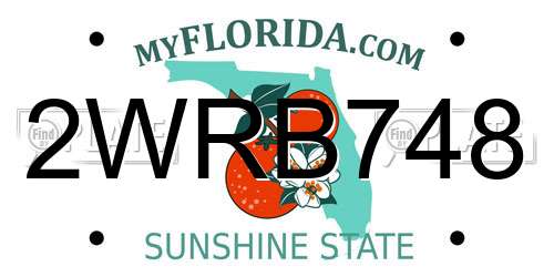 2WRB748 Florida License Plate