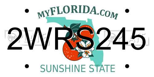 2WRS245 Florida License Plate