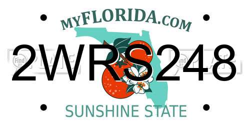 2WRS248 Florida License Plate