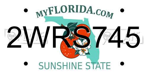 2WRS745 Florida License Plate