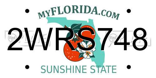 2WRS748 Florida License Plate