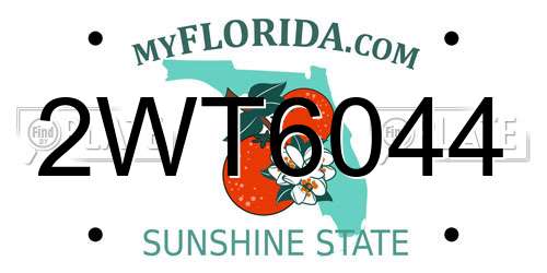 2WT6044 Florida License Plate