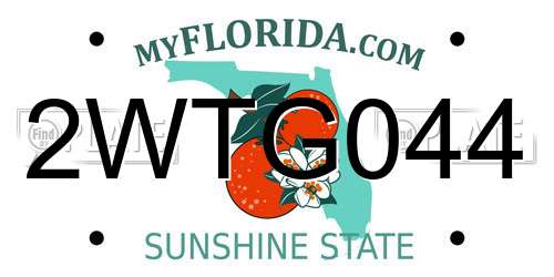 2WTG044 Florida License Plate