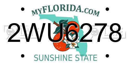 2WU6278 Florida License Plate