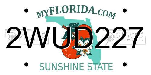 2WUD227 Florida License Plate