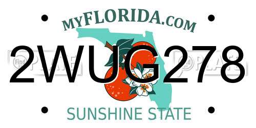 2WUG278 Florida License Plate
