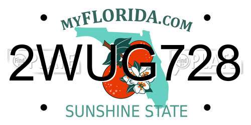 2WUG728 Florida License Plate