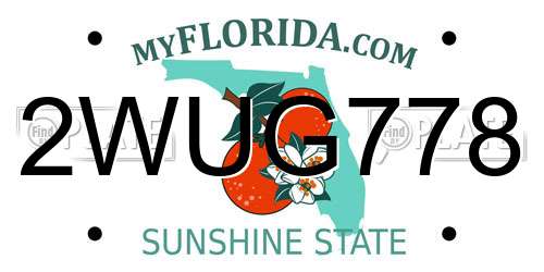 2WUG778 Florida License Plate