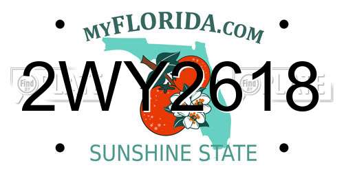 2WY2618 Florida License Plate